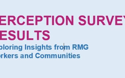 PERCEPTION SURVEY RESULTS Exploring Insights from RMG Workers and Communities
